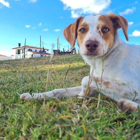 Camping Las Acacias グアタビータ エクステリア 写真