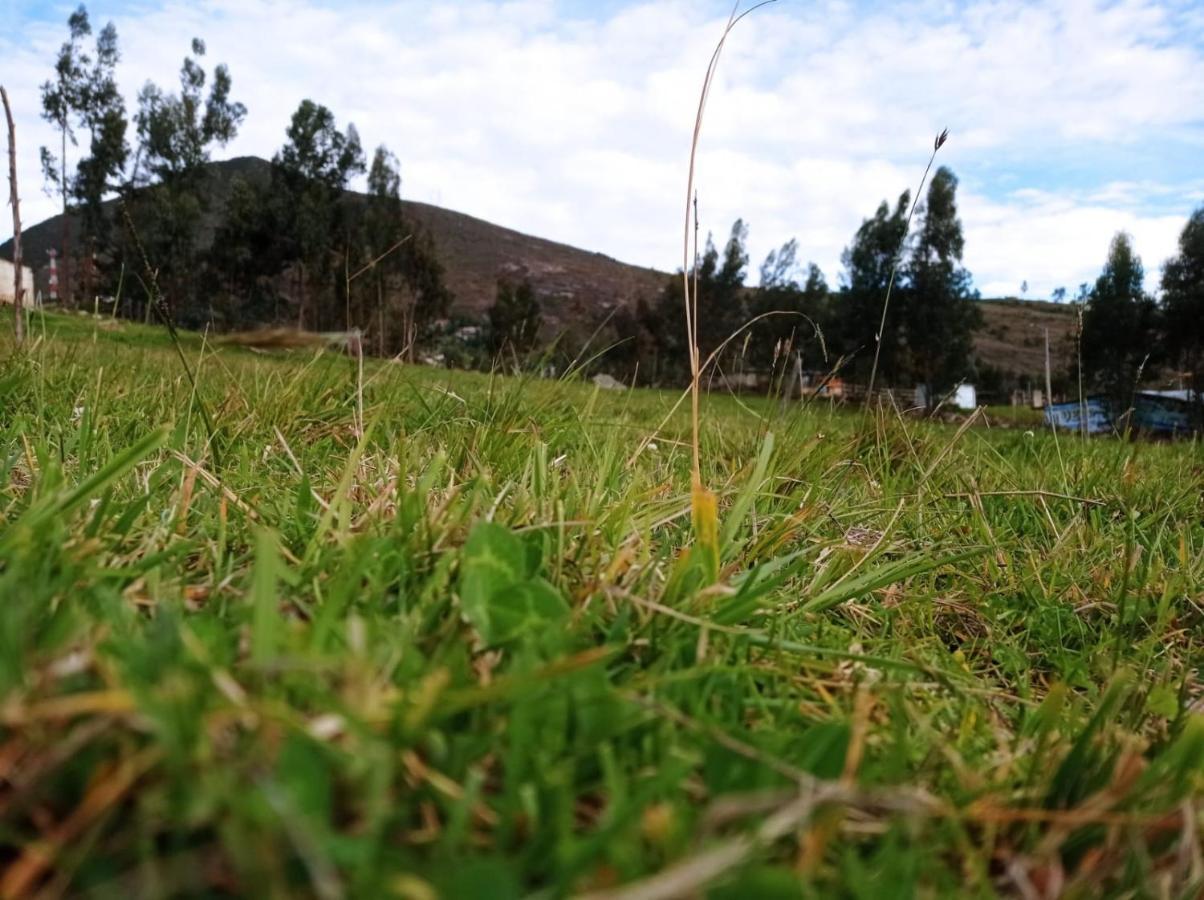 Camping Las Acacias グアタビータ エクステリア 写真