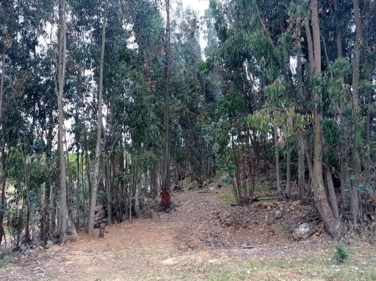 Camping Las Acacias グアタビータ エクステリア 写真