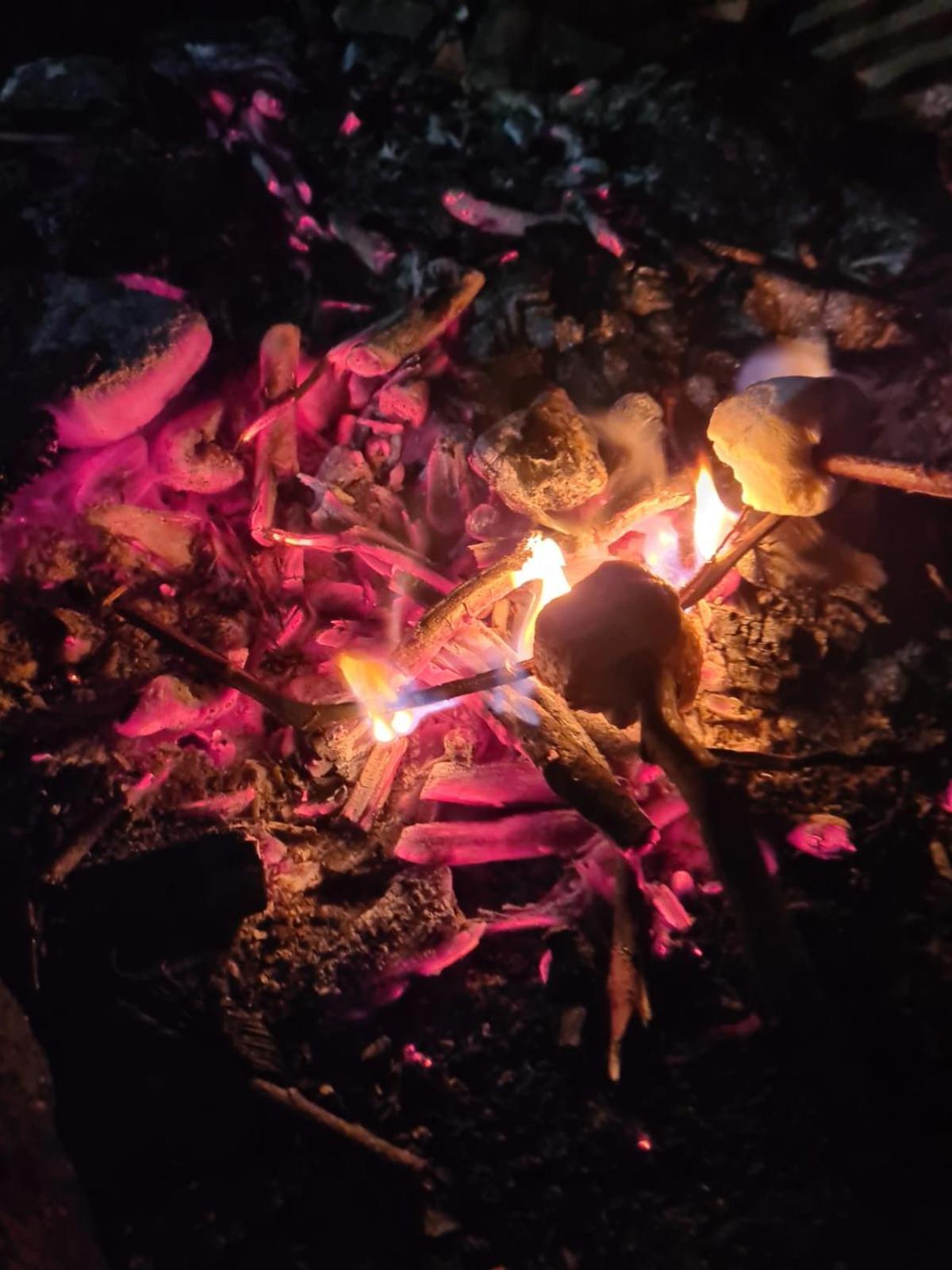 Camping Las Acacias グアタビータ エクステリア 写真