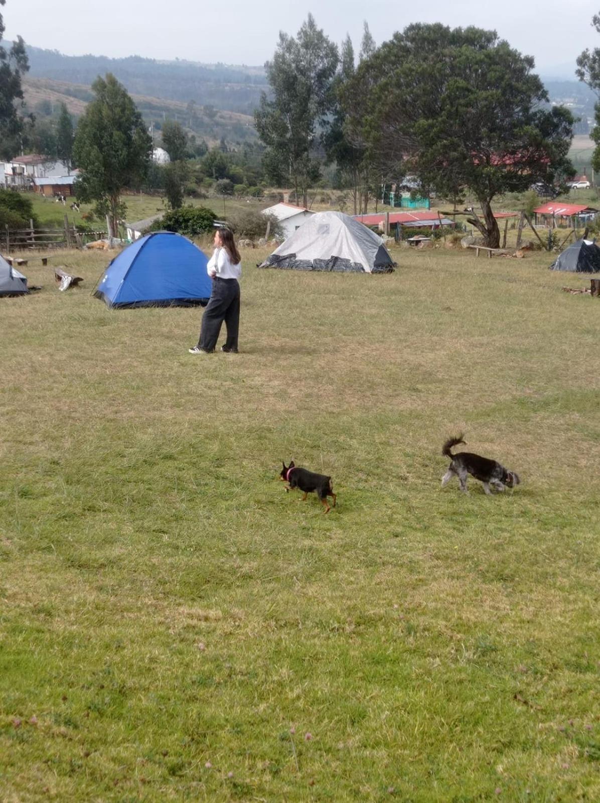 Camping Las Acacias グアタビータ エクステリア 写真