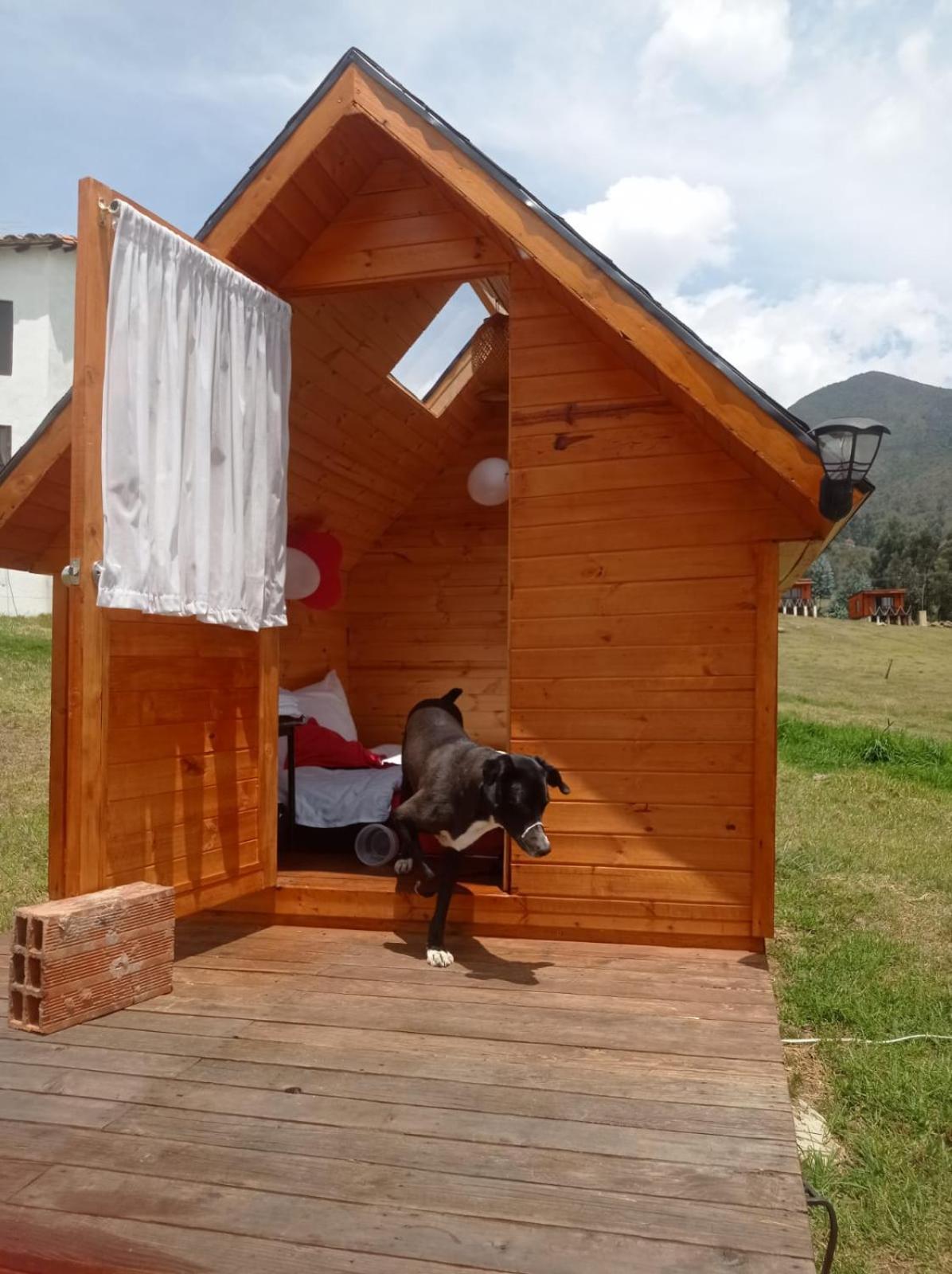 Camping Las Acacias グアタビータ エクステリア 写真